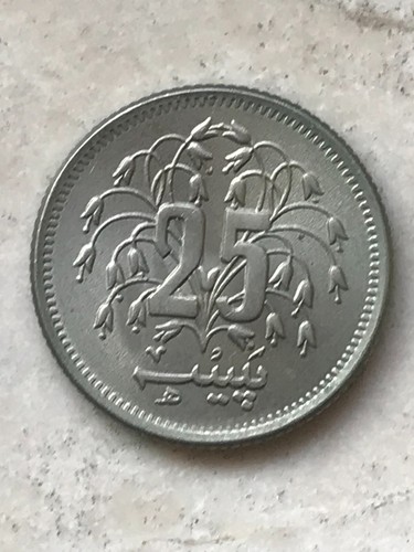 Scegli pakistan paisa dal - 25,