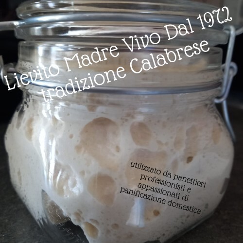 Lievito madre vivo - madre, dal