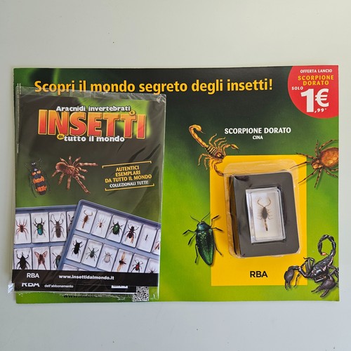 Insetti dal mondo - insetti,